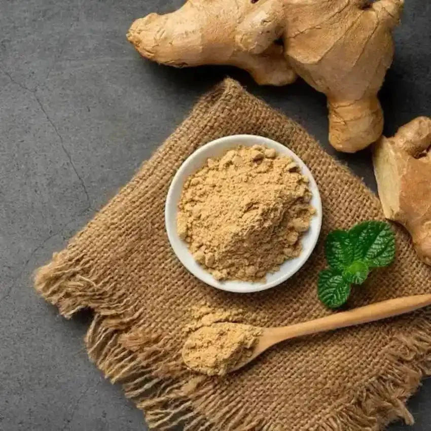 Ing Makhir Ginger Powder - Premium Zingiber Rubens  - Bulk Supplier India  - shop_name