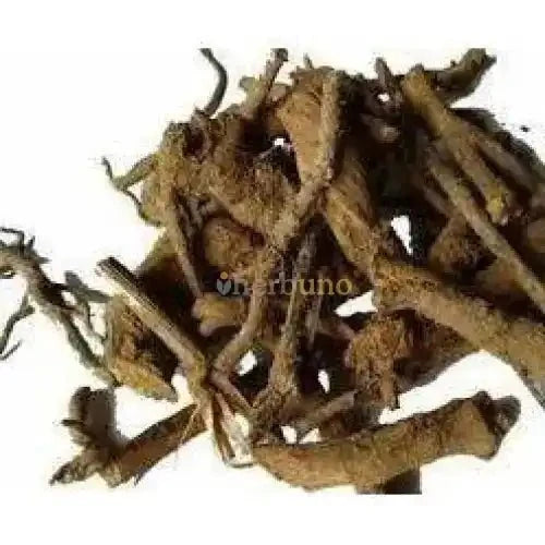 Inula racemosa (Pushkarmool) Extract Powder - Bulk Supplier India