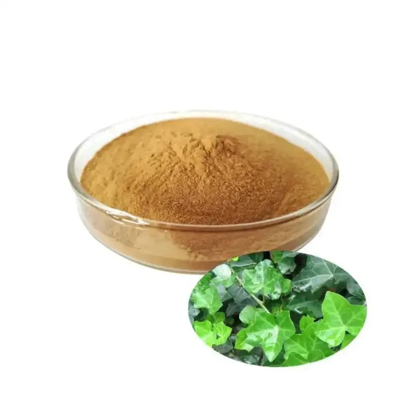 Ivy Leaf Extract Powder - Bulk Supplier India