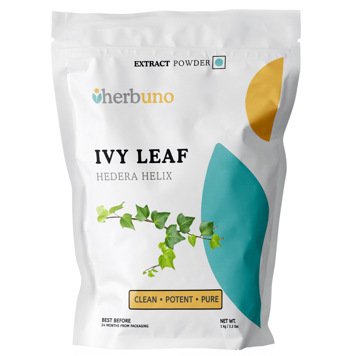 Ivy Leaf Extract Powder - Bulk Supplier India