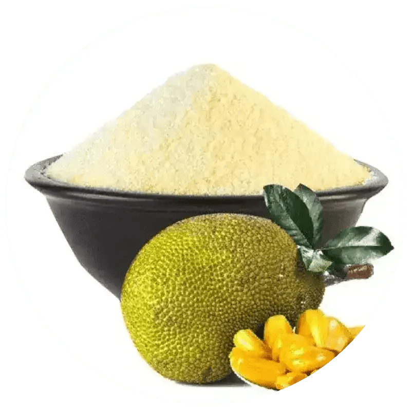 Jackfruit Powder Ripe  - Bulk Supplier India  - shop_name