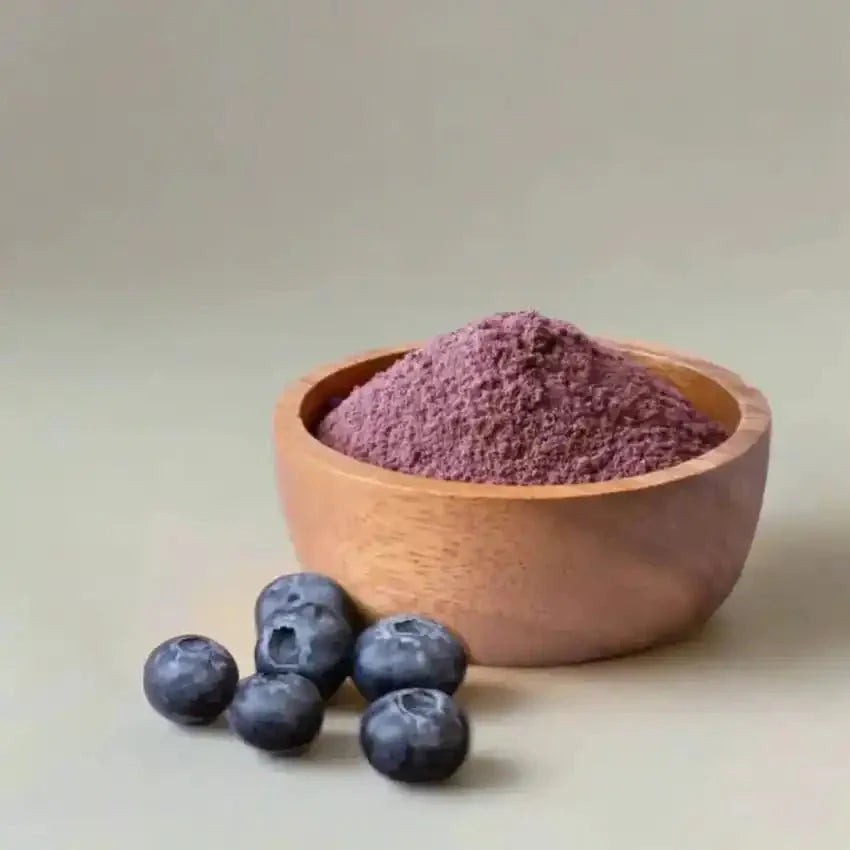Jamun Powder - Syzygium cumini Benefits  - Bulk Supplier India  - shop_name
