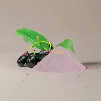 Jamun Powder - Syzygium cumini Benefits  - Bulk Supplier India  - shop_name