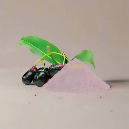 Jamun Powder - Syzygium cumini Benefits  - Bulk Supplier India  - shop_name