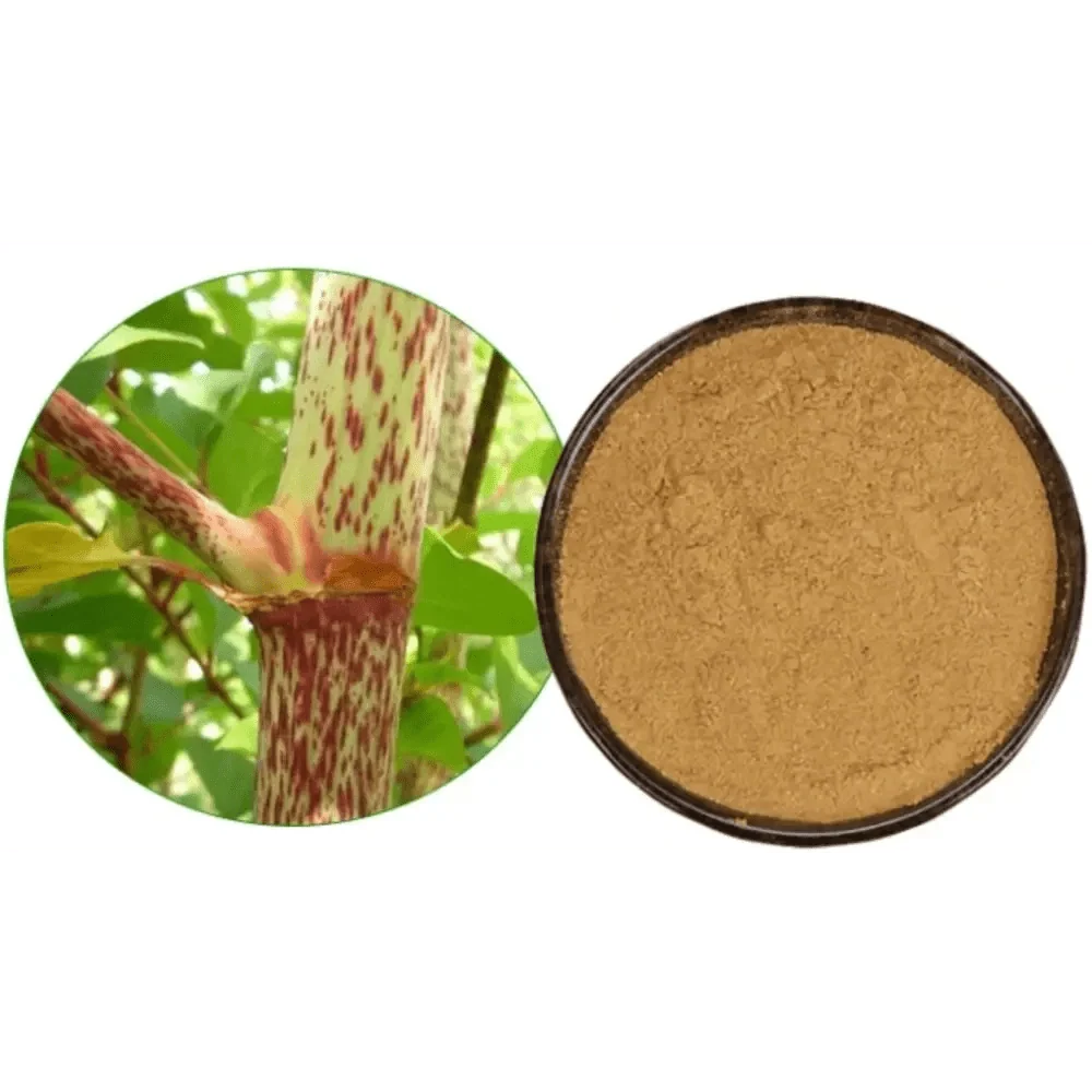 Japanese Knotweed Extract Powder - Bulk Supplier India