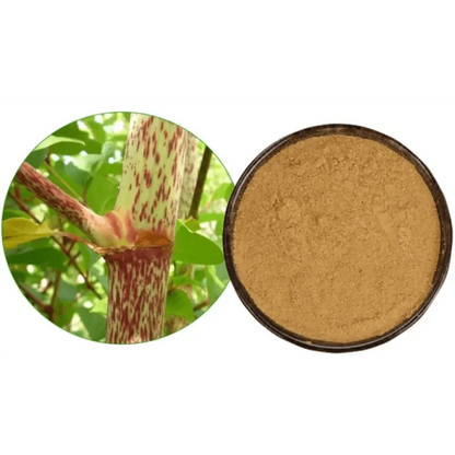 Japanese Knotweed Extract Powder - Bulk Supplier India