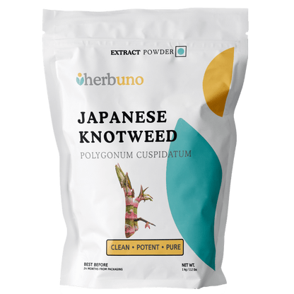 Japanese Knotweed Extract Powder - Bulk Supplier India