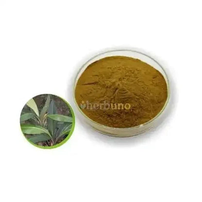 Kacip Fatimah Leaf Extract Powder - Bulk Supplier India