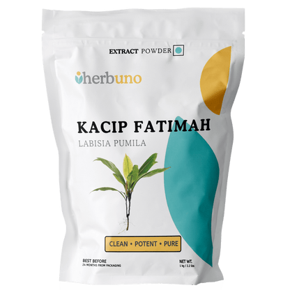 Kacip Fatimah Leaf Extract Powder - Bulk Supplier India