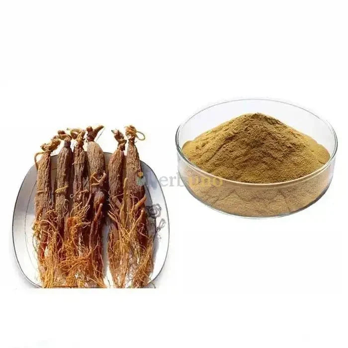 Korean Red Ginseng Root Extract Powder (High Potency) - Bulk Supplier India