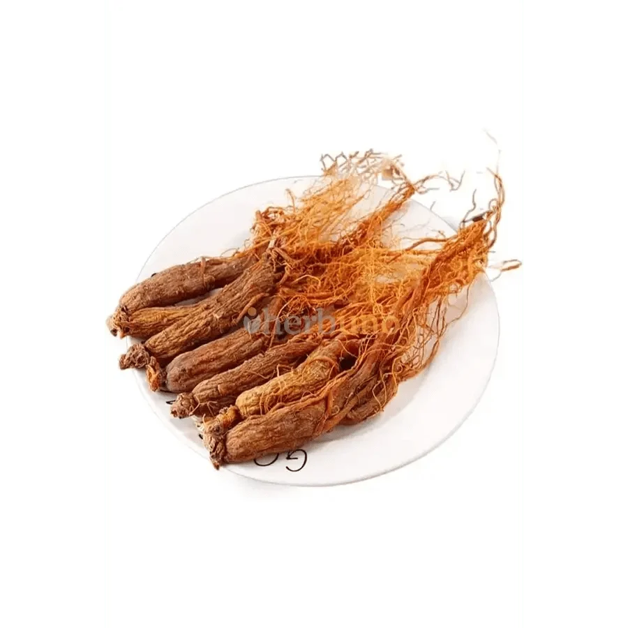 Korean Red Ginseng Root Extract Powder (High Potency) - Bulk Supplier India