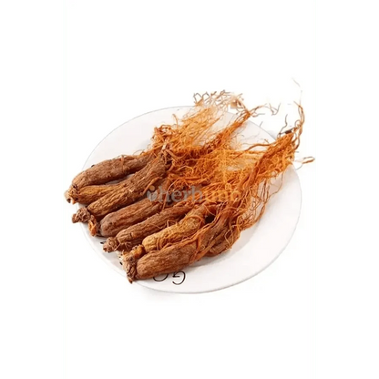 Korean Red Ginseng Root Extract Powder (High Potency) - Bulk Supplier India