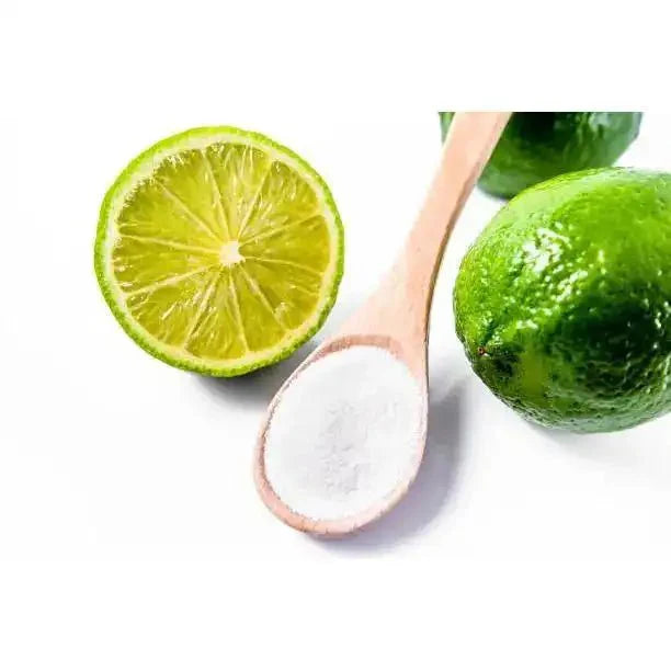 Lime Powder - Key Lime Citrus Flavor  - Bulk Supplier India  - shop_name