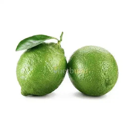 Lime Powder - Key Lime Citrus Flavor  - Bulk Supplier India  - shop_name