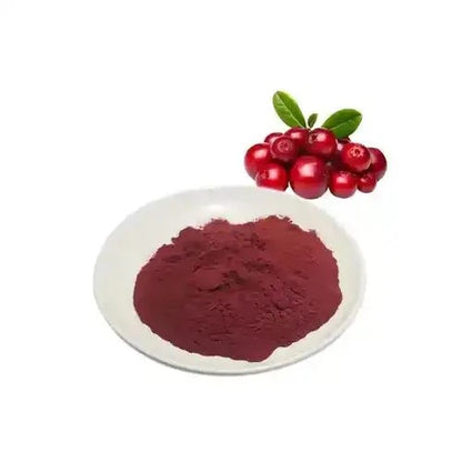 Lingonberry Extract Powder - Bulk Supplier India