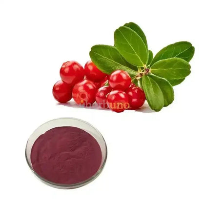 Lingonberry Extract Powder - Bulk Supplier India