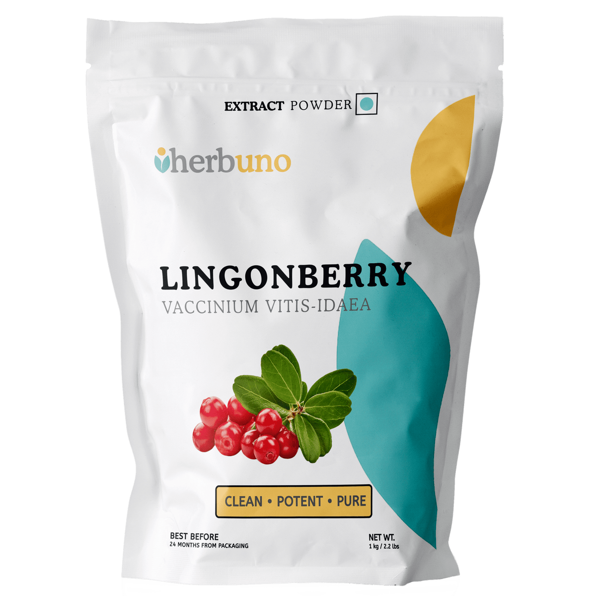 Lingonberry Extract Powder - Bulk Supplier India