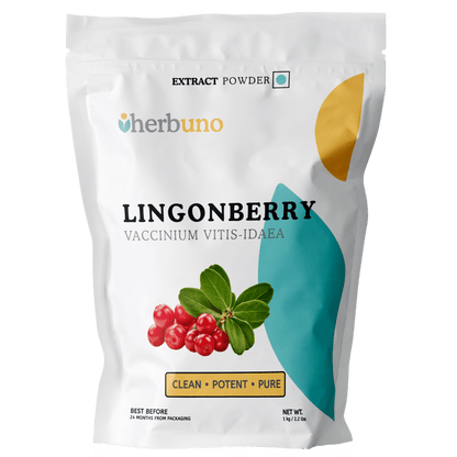Lingonberry Extract Powder - Bulk Supplier India