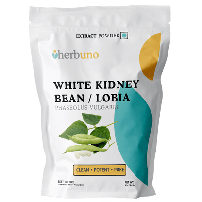 Lobia Extract Powder - Phaseolus vulgaris - Bulk Supplier India