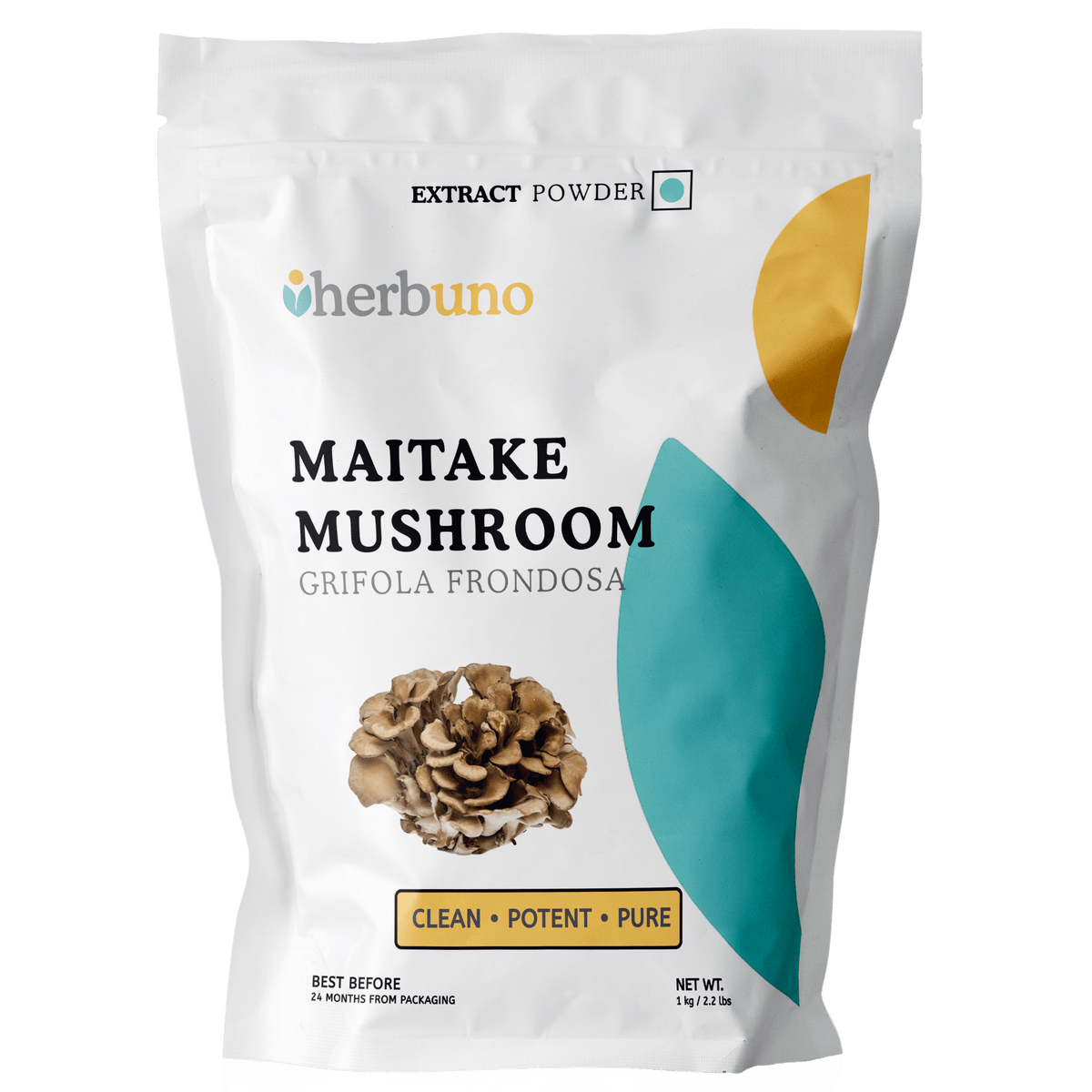 Maitake Mushroom Extract - Grifola frondosa - Bulk Supplier India