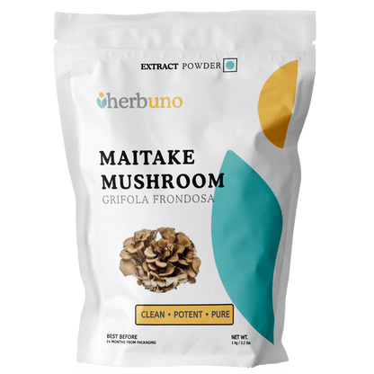 Maitake Mushroom Extract - Grifola frondosa - Bulk Supplier India