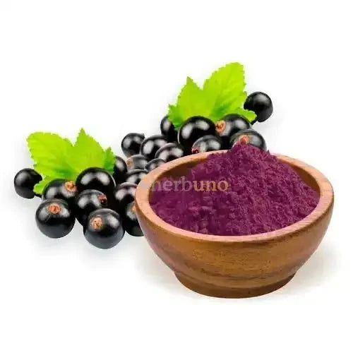 Maqui Berry Extract Powder - Bulk Supplier India