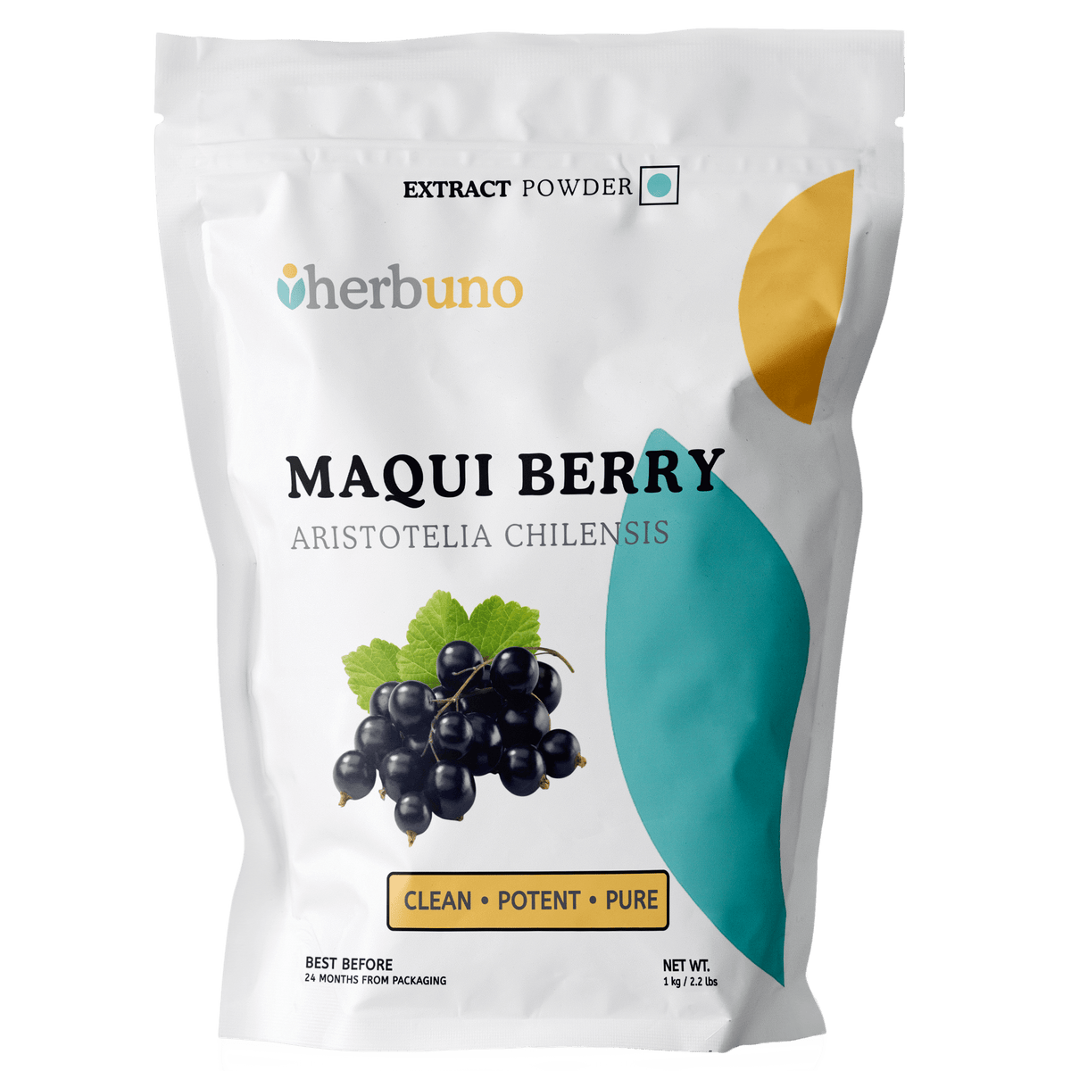Maqui Berry Extract Powder - Bulk Supplier India