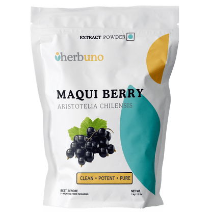 Maqui Berry Extract Powder - Bulk Supplier India