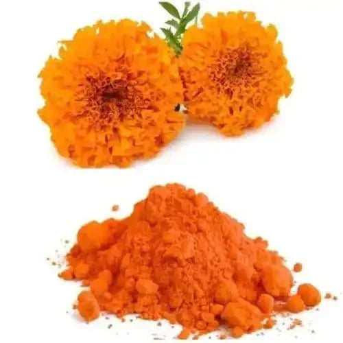 Marigold Flower Liquid Extract (Water Soluble) - Tagetes spp - Bulk Supplier India