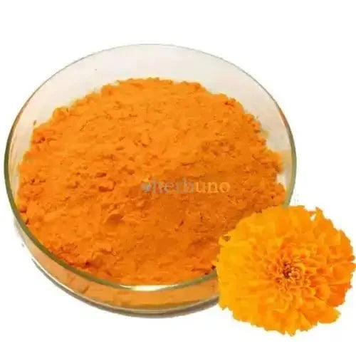 Marigold Flower Extract Powder - Bulk Supplier India