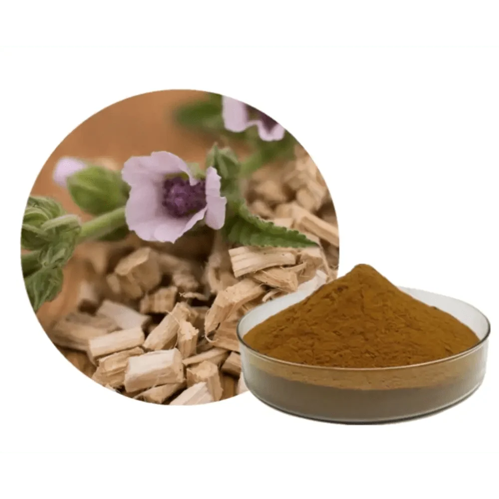 Marshmallow Extract Powder - Bulk Supplier India