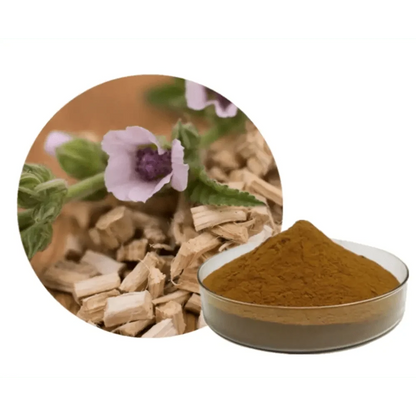 Marshmallow Extract Powder - Bulk Supplier India