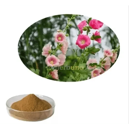 Marshmallow Extract Powder - Bulk Supplier India