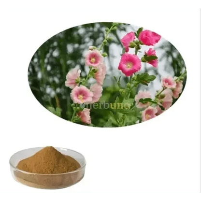 Marshmallow Extract Powder - Bulk Supplier India