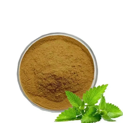 Melissa officinalis (Lemon Balm) Extract Powder - Bulk Supplier India
