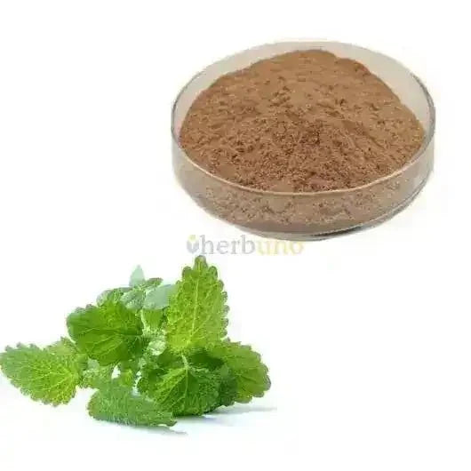 Melissa officinalis (Lemon Balm) Extract Powder - Bulk Supplier India