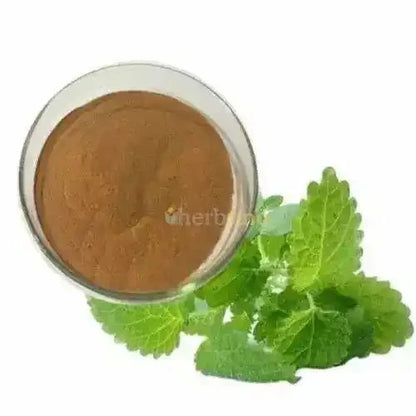 Melissa officinalis (Lemon Balm) Extract Powder - Bulk Supplier India