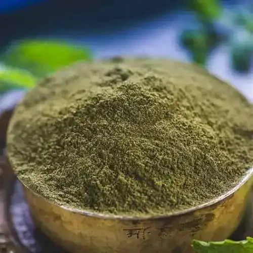 Mint Powder - Spearmint Flavorful Extract  - Bulk Supplier India  - shop_name