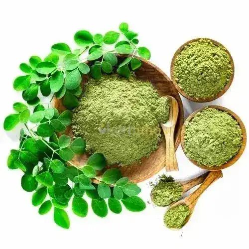 Moringa Oleifera Leaf Extract Powder  - Bulk Supplier India  - shop_name