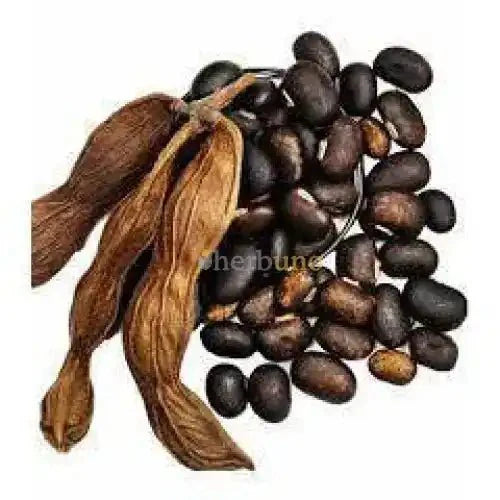 Mucuna Pruriens (Velvet Bean) Extract Powder  - Bulk Supplier India  - shop_name