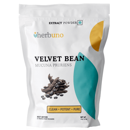 Mucuna Pruriens (Velvet Bean) Extract Powder | Kaunch Beej - Bulk Supplier India