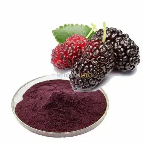 Mulberry Fruit Liquid Extract (Water Soluble) - Morus spp.  - Bulk Supplier India  - shop_name