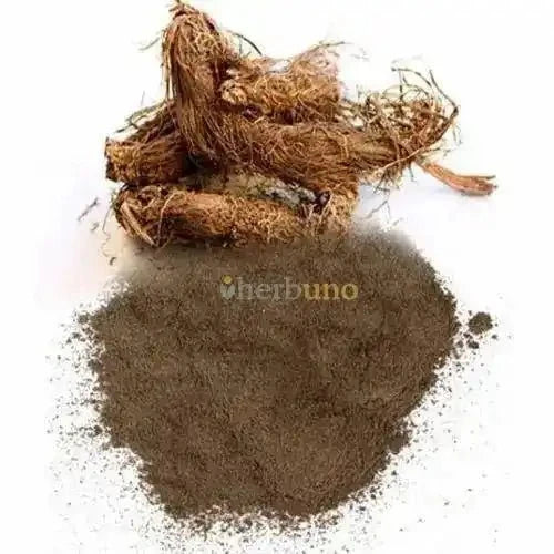 Nardostachys Jatamansi Extract Powder | Indian Spikenard - Bulk Supplier India