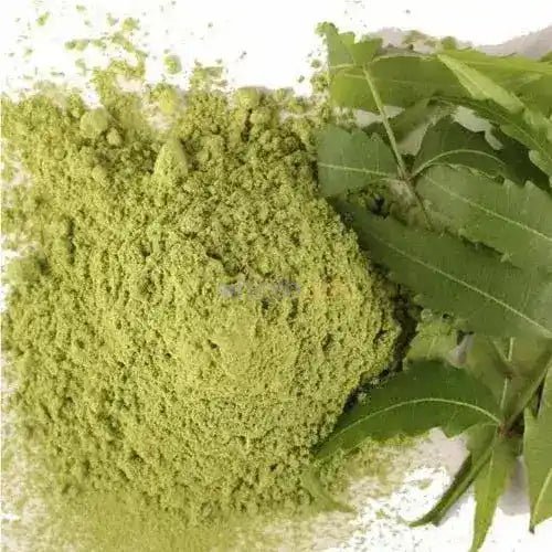 Organic Neem Leaf Powder - Azadirachta indica  - Bulk Supplier India  - shop_name