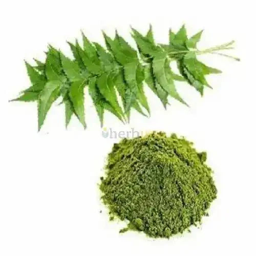 Neem Leaf Liquid Extract (Water Soluble) - Azadirachta indica  - Bulk Supplier India  - shop_name