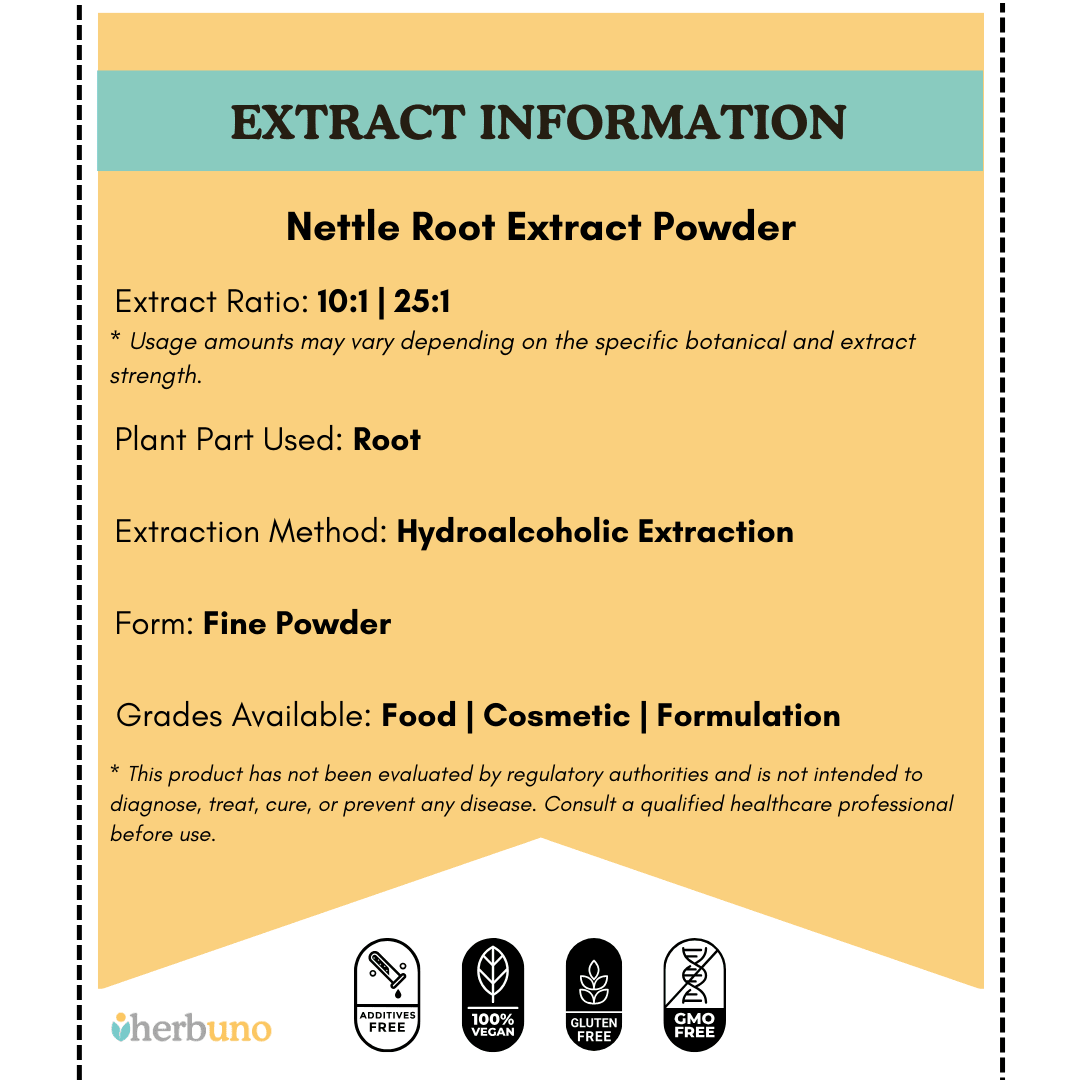 Nettle Root Extract Powder | Bichu Buti - Bulk Supplier India