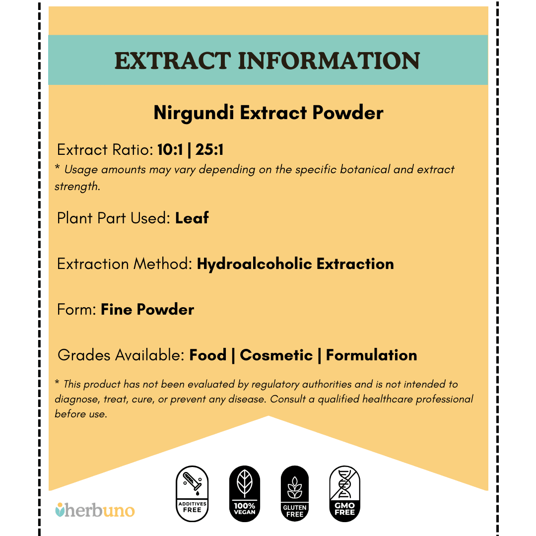 Nirgundi Extract Powder - Vitex negundo - Bulk Supplier India