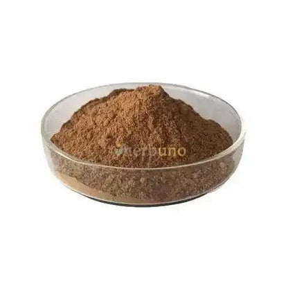 Oenothera Biennis (Evening Primrose) Extract Powder - Bulk Supplier India