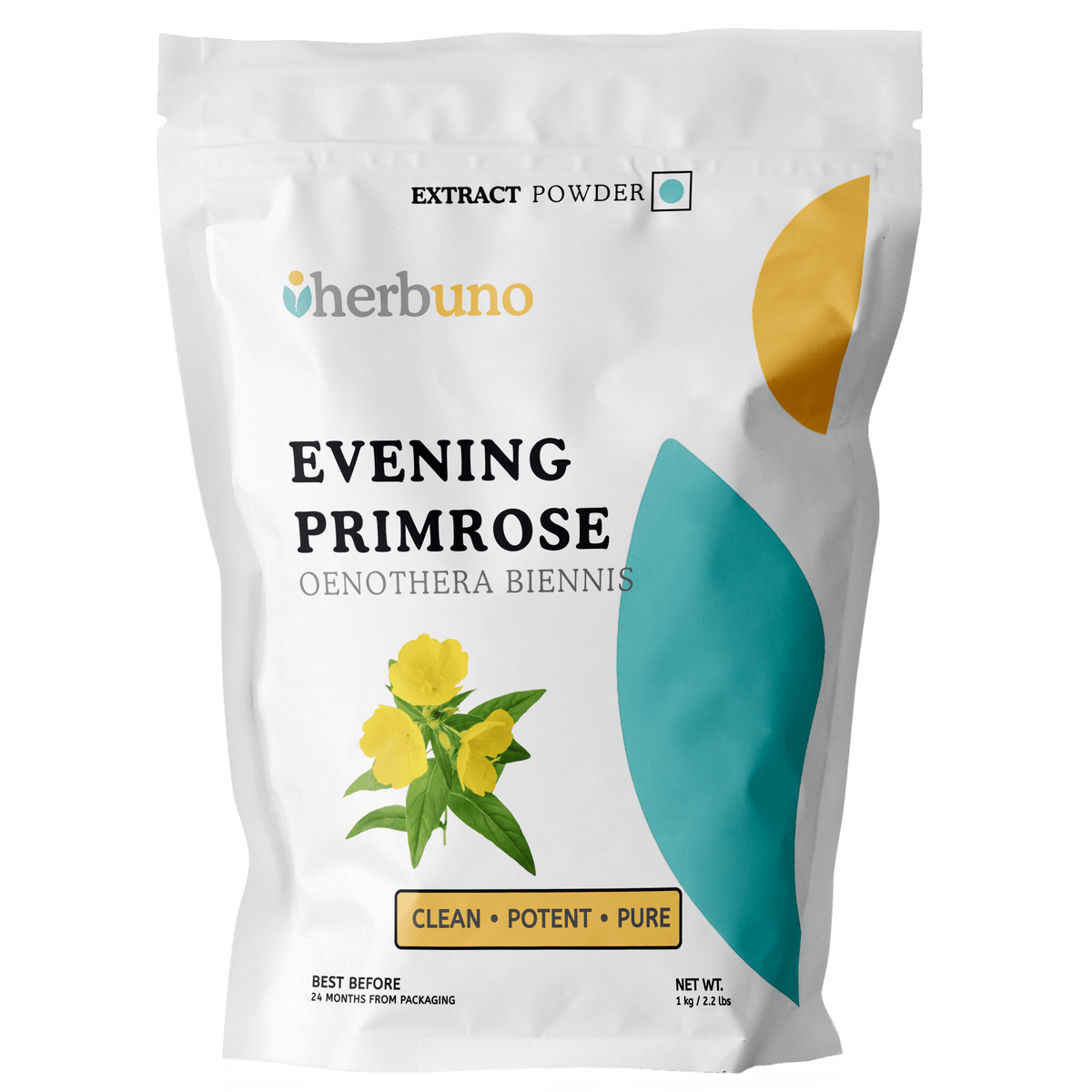 Oenothera Biennis (Evening Primrose) Extract Powder - Bulk Supplier India