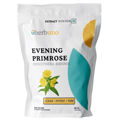 Oenothera Biennis (Evening Primrose) Extract Powder - Bulk Supplier India